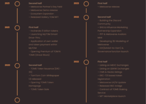 TomTom coin Roadmap