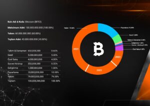 BITCI Token allocation